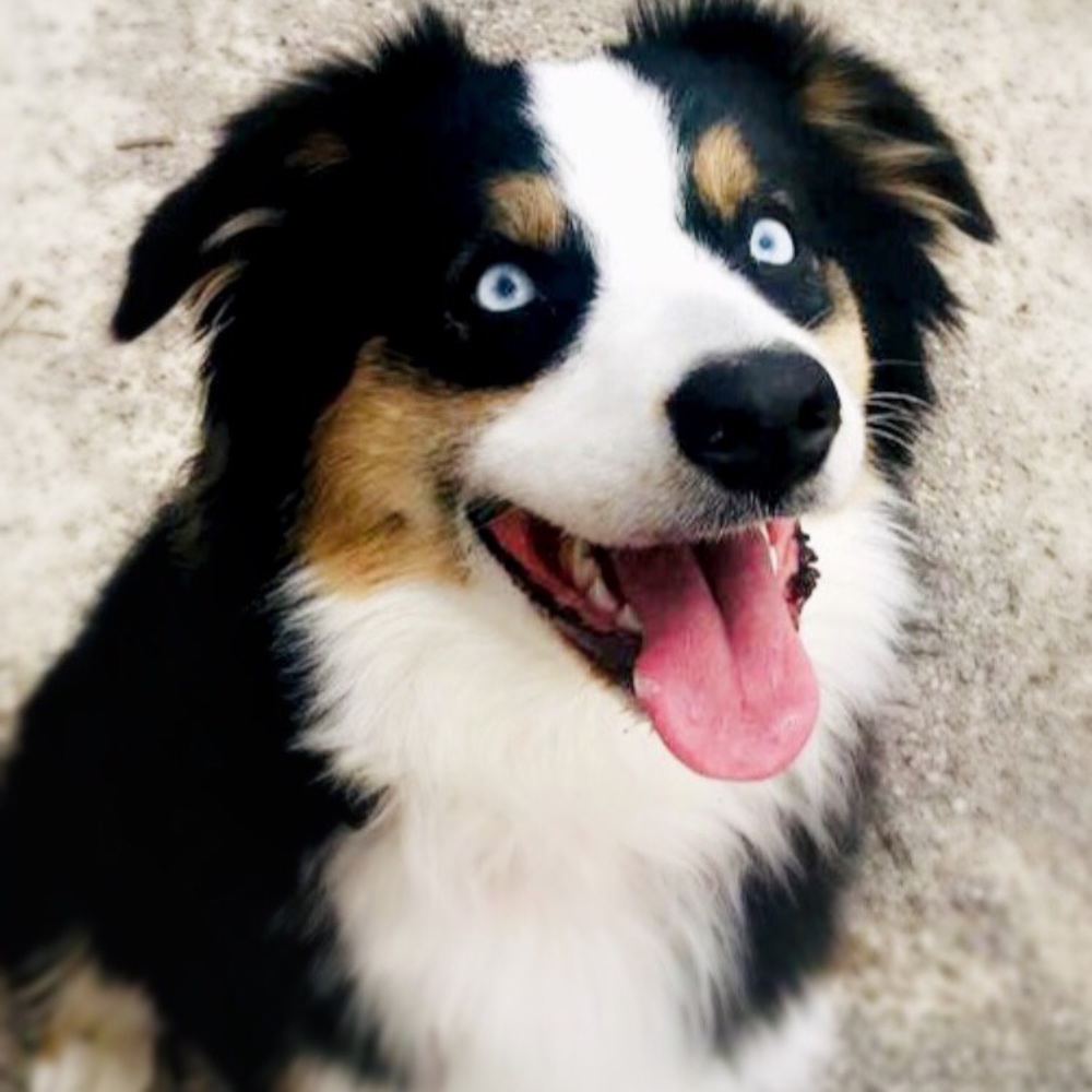 Meet your Posher, Madelyn